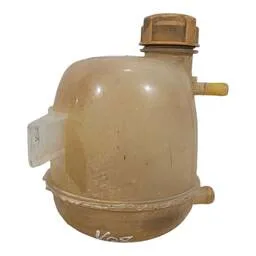 Reservatório Água Radiador Clio 1.6 16v 2000 2001 2002 2012